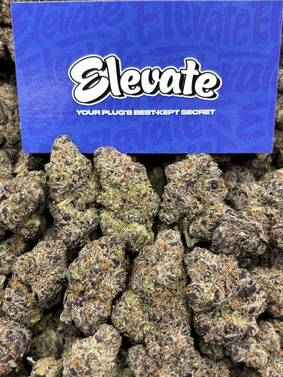 Blue Dosidos