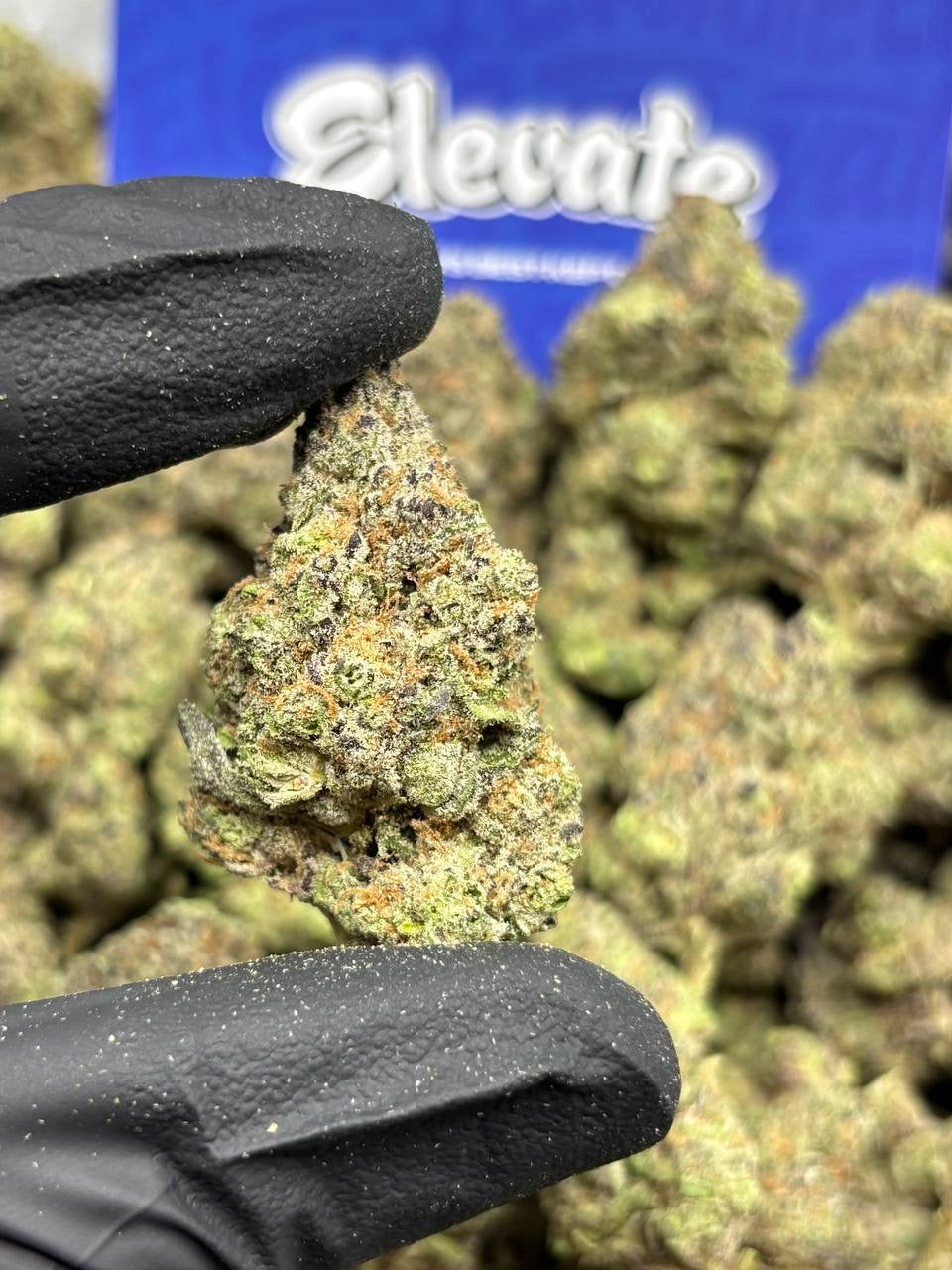 Grape Crush