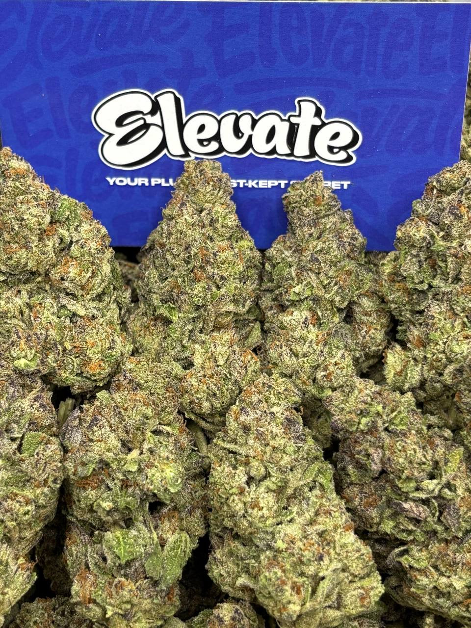 Cherry AK-47