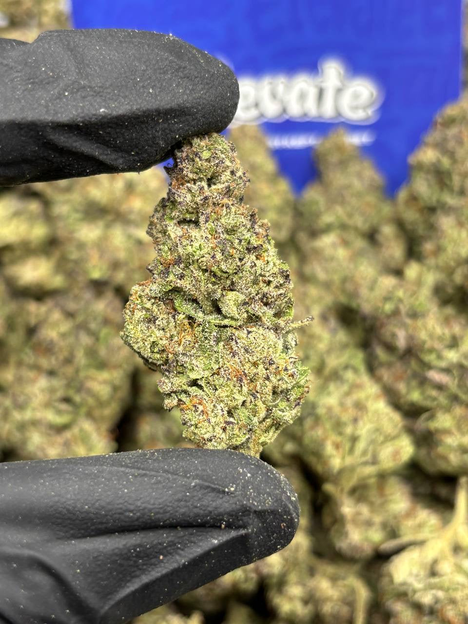 Cherry AK-47