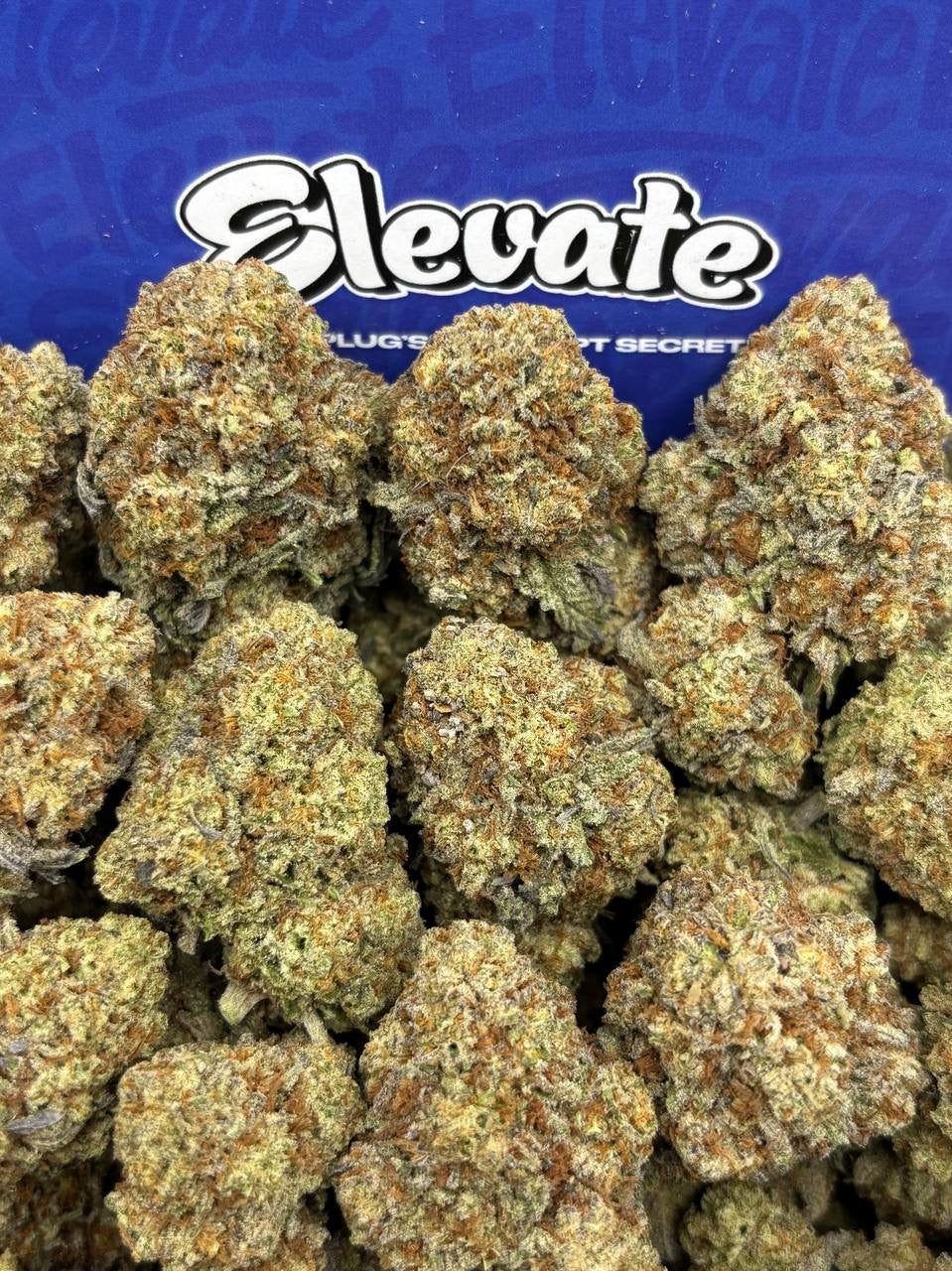 Purple Smuckerz