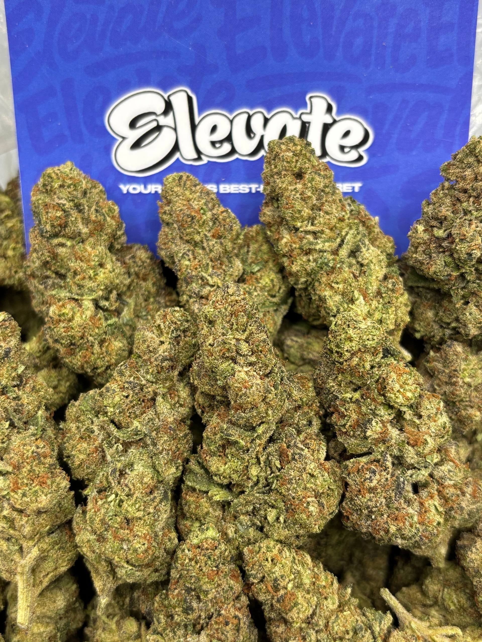Apple Fritter