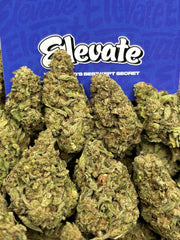 Champagne Gelato