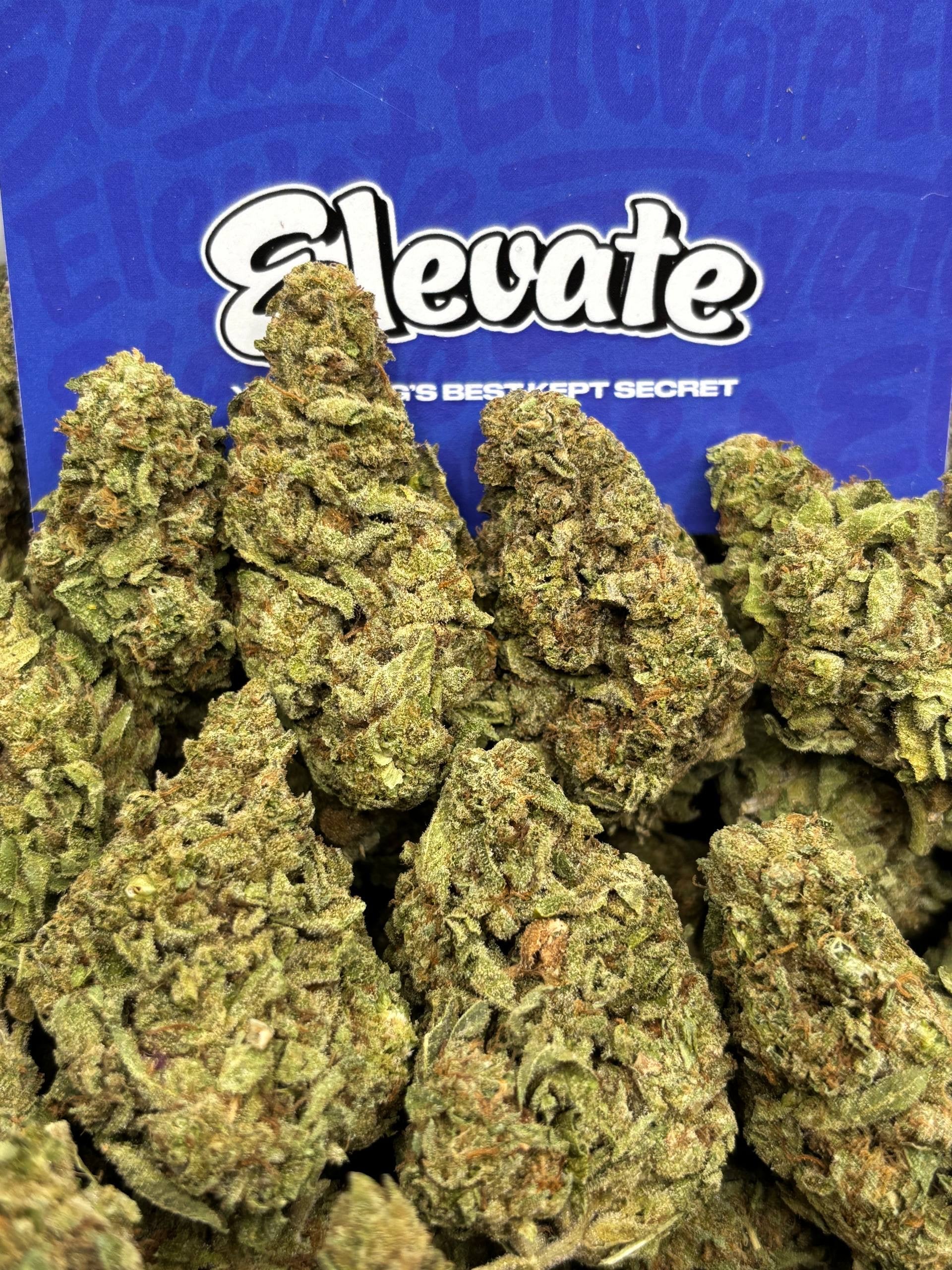 Champagne Gelato