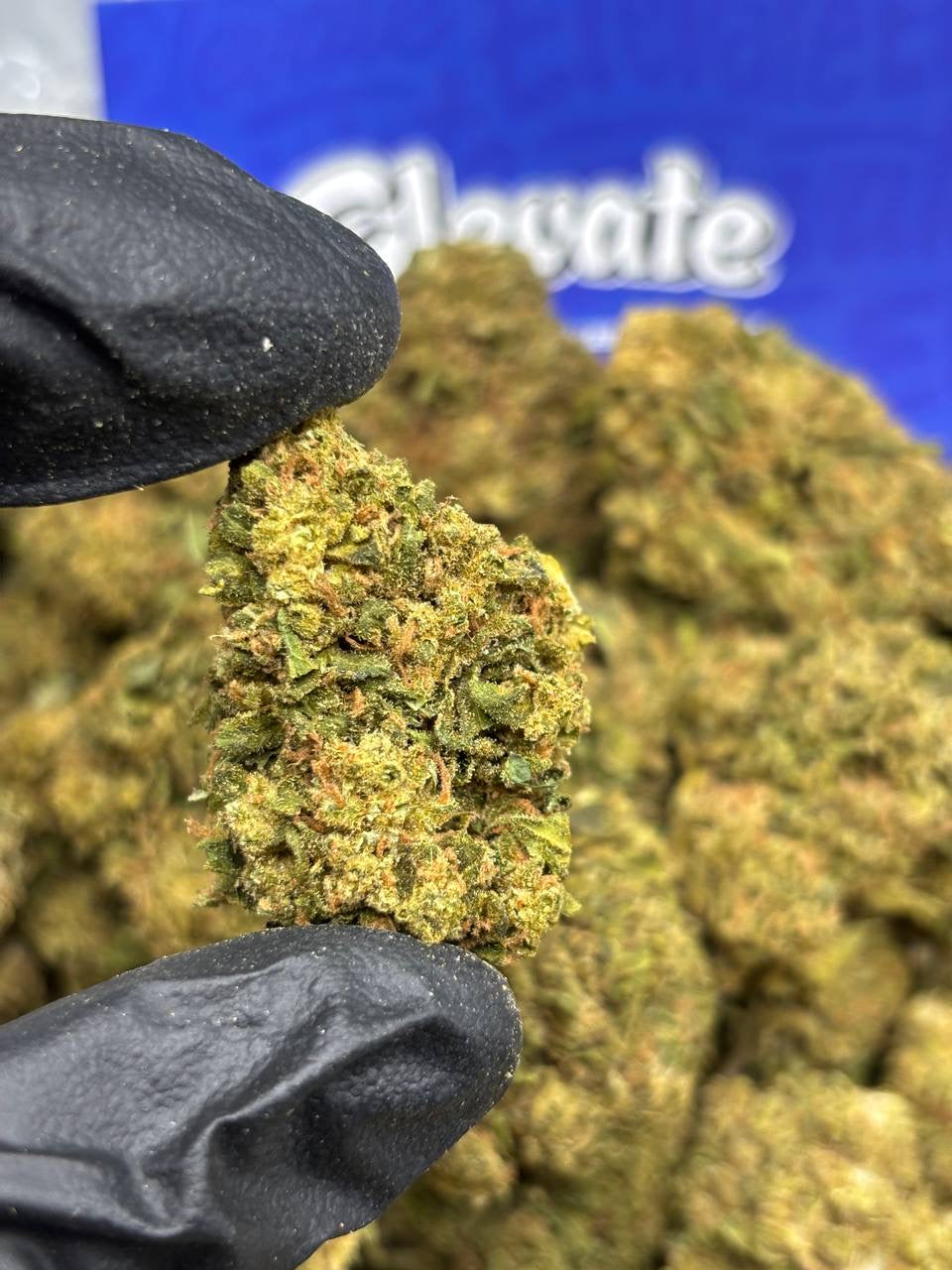 OG Kush