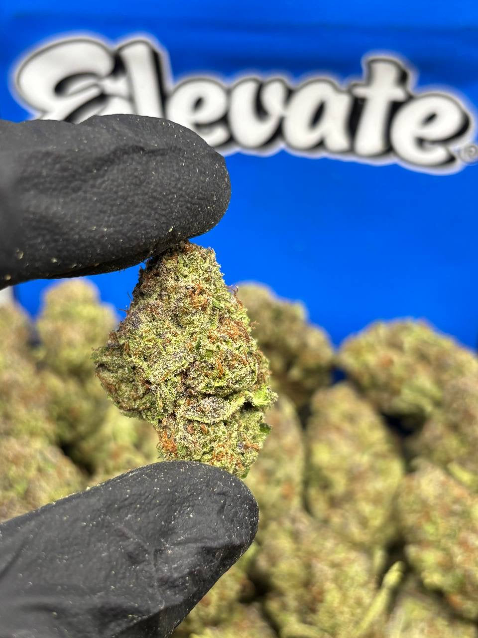 Grand Daddy Purp