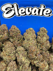 Strawberry Cough