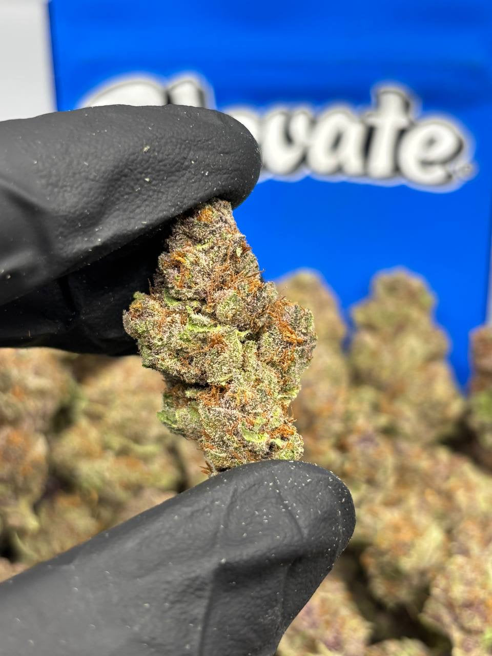 Strawberry Cough