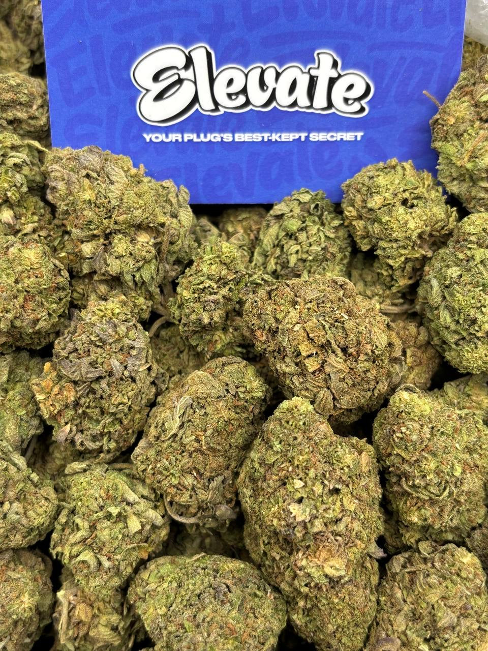 Sour Diesel