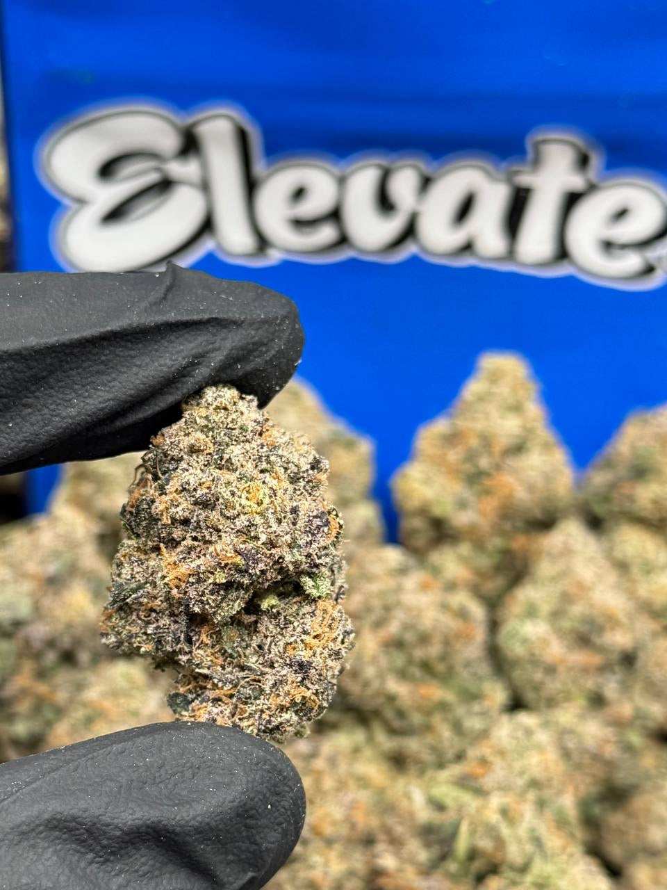 Frosted Berriez