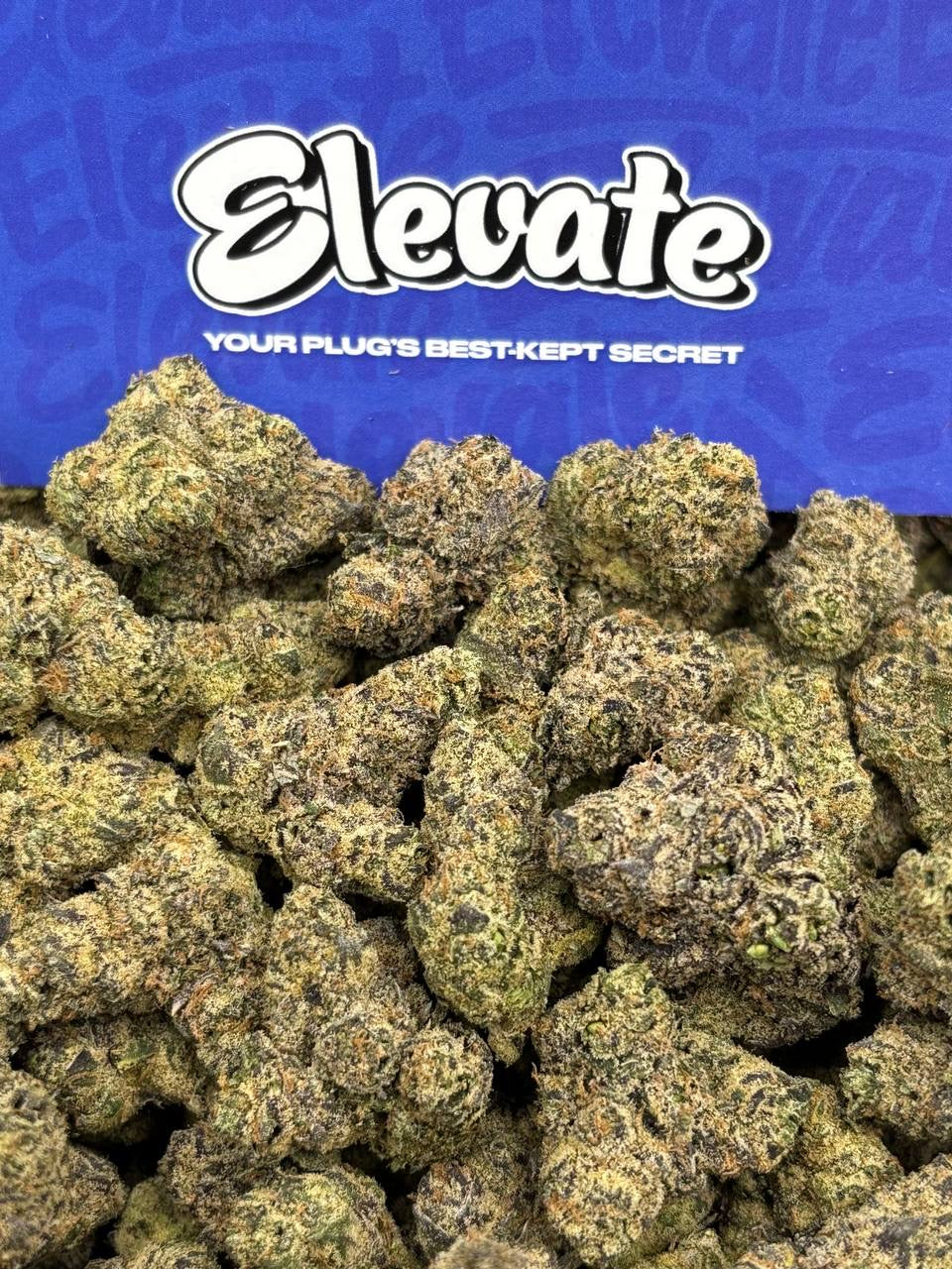 Candy Zerbert