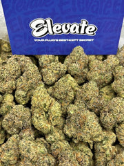 Black Cherry Gelato